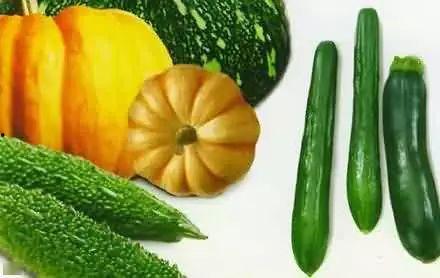 渔夫吃瓜,一场意外的美食之旅