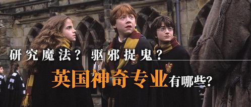 吃瓜学院哈利波特,揭秘哈利波特背后的神秘世界