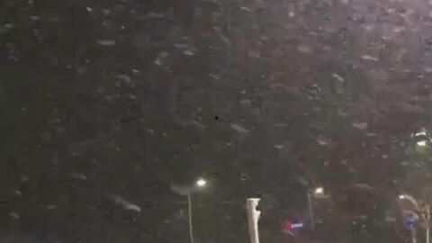 下雪吃瓜的视频,冬日里的欢乐时光