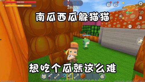 在迷你世界吃瓜,瓜田里的欢乐时光