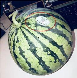 网红警花吃瓜,网络走红引发热议