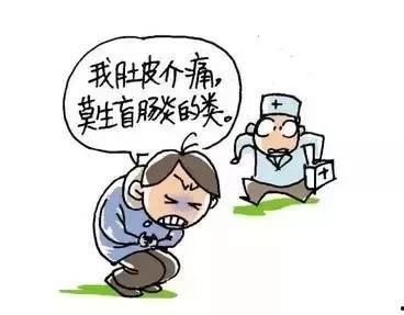 打假会长吃瓜,揭秘打假会长吃瓜背后的真相与内幕