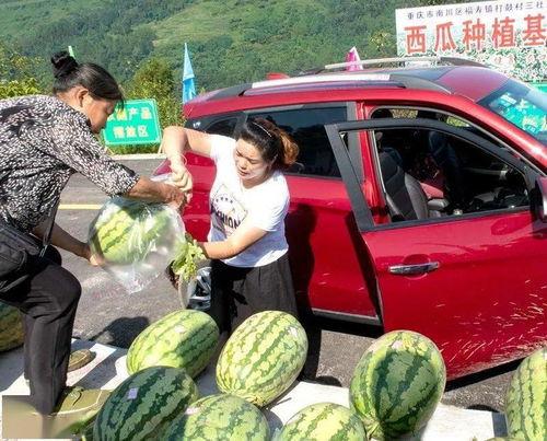 武平吃瓜群众,揭秘当地热点事件背后的故事